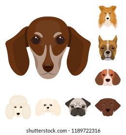 Dog breeds cartoon icons in set collection for design.Muzzle of a dog vector symbol stock web illustration.