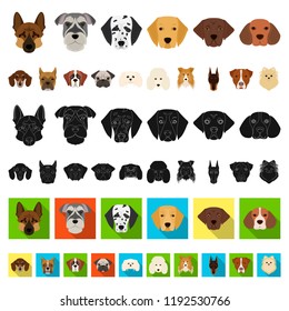 Dog breeds cartoon icons in set collection for design.Muzzle of a dog vector symbol stock web illustration.