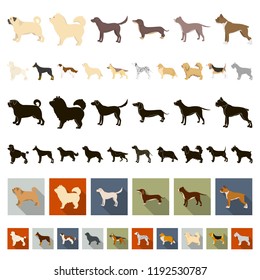 Dog breeds cartoon icons in set collection for design.Dog pet vector symbol stock web illustration.