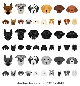 Dog breeds cartoon icons in set collection for design.Muzzle of a dog vector symbol stock web illustration.