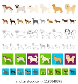 Dog breeds cartoon icons in set collection for design.Dog pet vector symbol stock web illustration.