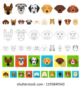 Dog breeds cartoon icons in set collection for design.Muzzle of a dog vector symbol stock web illustration.
