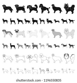 Dog breeds cartoon icons in set collection for design.Dog pet vector symbol stock web illustration.