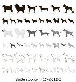 Dog breeds cartoon icons in set collection for design.Dog pet vector symbol stock web illustration.