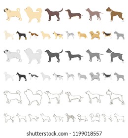 Dog breeds cartoon icons in set collection for design.Dog pet vector symbol stock web illustration.