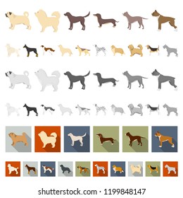 Dog breeds cartoon icons in set collection for design.Dog pet vector symbol stock web illustration.