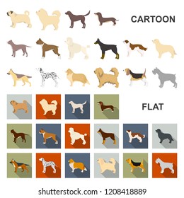 Dog breeds cartoon icons in set collection for design.Dog pet vector symbol stock web illustration.
