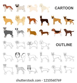 Dog breeds cartoon icons in set collection for design.Dog pet vector symbol stock web illustration.