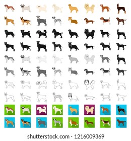 Dog breeds cartoon icons in set collection for design.Dog pet vector symbol stock web illustration.