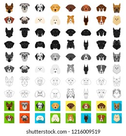 Dog breeds cartoon icons in set collection for design.Muzzle of a dog vector symbol stock web illustration.
