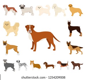 Dog breeds cartoon icons in set collection for design.Dog pet vector symbol stock web illustration.