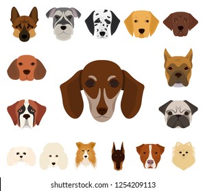 Dog breeds cartoon icons in set collection for design.Muzzle of a dog vector symbol stock web illustration.