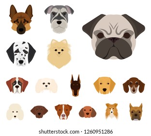 Dog breeds cartoon icons in set collection for design.Muzzle of a dog vector symbol stock web illustration.