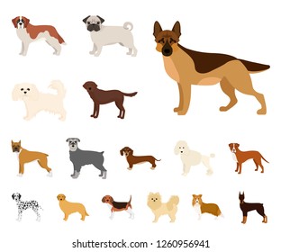 Dog Breeds Cartoon Icons Set Collection Stock Vector (Royalty Free ...