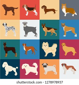 Dog breeds cartoon icons in set collection for design.Dog pet vector symbol stock web illustration.