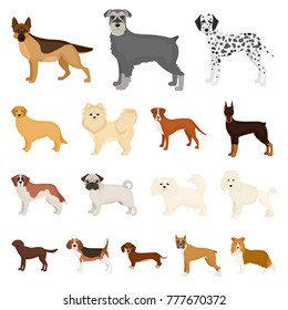 Dog breeds cartoon icons in set collection for design.Dog pet vector symbol stock web illustration.