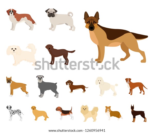 Dog Breeds Cartoon Icons Set Collection Stock Vector (Royalty Free ...