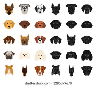 Dog breeds cartoon,black icons in set collection for design.Muzzle of a dog vector symbol stock web illustration.
