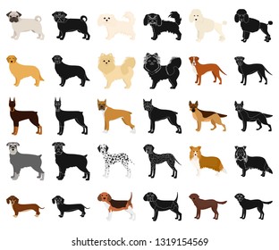 Dog breeds cartoon,black icons in set collection for design.Dog pet vector symbol stock web illustration.