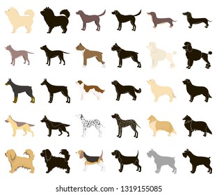 Dog breeds cartoon,black icons in set collection for design.Dog pet vector symbol stock web illustration.