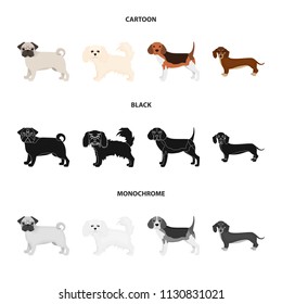 Dog breeds cartoon,black,monochrome icons in set collection for design.Dog pet vector symbol stock web illustration.