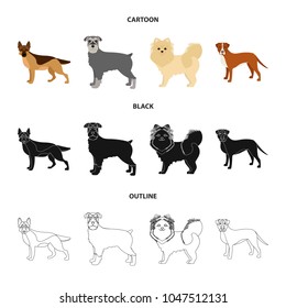 Dog breeds cartoon,black,outline icons in set collection for design.Dog pet vector symbol stock web illustration.