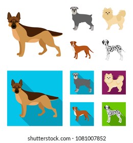 Dog breeds cartoon,flat icons in set collection for design.Dog pet vector symbol stock web illustration.