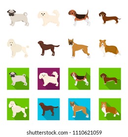 Dog breeds cartoon,flat icons in set collection for design.Dog pet vector symbol stock web illustration.