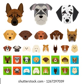 Dog breeds cartoon,flat icons in set collection for design.Muzzle of a dog vector symbol stock web illustration.