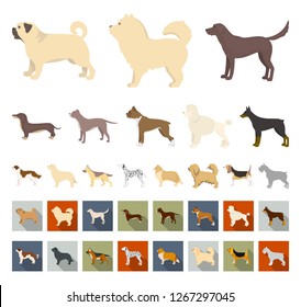 Dog breeds cartoon,flat icons in set collection for design.Dog pet vector symbol stock web illustration.