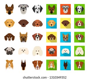 Dog breeds cartoon,flat icons in set collection for design.Muzzle of a dog vector symbol stock web illustration.