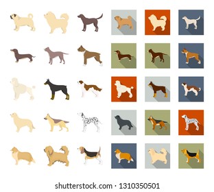 Dog breeds cartoon,flat icons in set collection for design.Dog pet vector symbol stock web illustration.