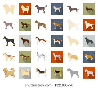 Dog breeds cartoon,flat icons in set collection for design.Dog pet vector symbol stock web illustration.