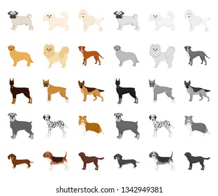 Dog breeds cartoon,mono icons in set collection for design.Dog pet vector symbol stock web illustration.