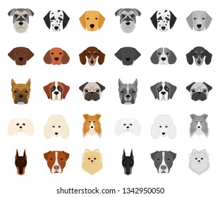 Dog breeds cartoon,mono icons in set collection for design.Muzzle of a dog vector symbol stock web illustration.