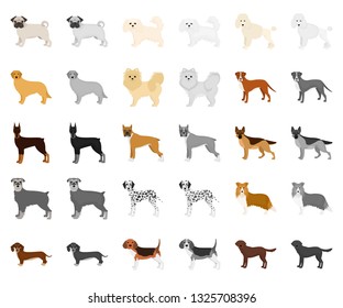 Dog breeds cartoon,monochrom icons in set collection for design.Dog pet vector symbol stock web illustration.