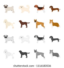 Dog breeds cartoon,monochrome icons in set collection for design.Dog pet vector symbol stock web illustration.