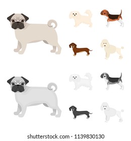 Dog breeds cartoon,monochrome icons in set collection for design.Dog pet vector symbol stock web illustration.