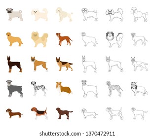 Dog breeds cartoon,outline icons in set collection for design.Dog pet vector symbol stock web illustration.