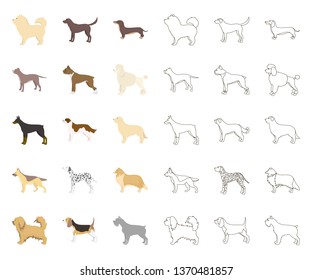 Dog breeds cartoon,outline icons in set collection for design.Dog pet vector symbol stock web illustration.