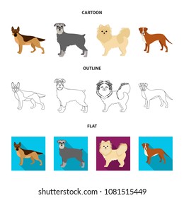Dog breeds cartoon,outline,flat icons in set collection for design.Dog pet vector symbol stock web illustration.