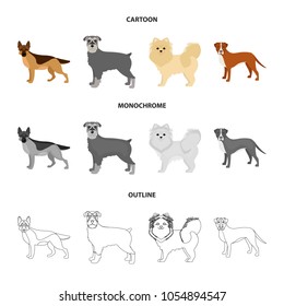 Dog breeds cartoon,outline,monochrome icons in set collection for design.Dog pet vector symbol stock web illustration.