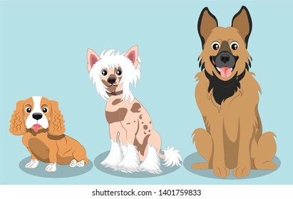 Dog Breeds, Cavalier King Charles Spaniel, Chinese Crested Dog, And German Shepherd