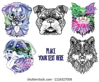 Dog breeds. Children's coloring, meditative coloring. English bulldog, huskyand Labrador. Meditative pattern. Dots, stripes, wool.