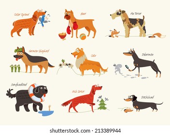 Dog breeds. Cocker Spaniel, Collie, Newfoundland, Doberman, Fox Terrier, Irish Setter, Dachshund, Boxer, German Shepherd. Funny cartoon character. Vector illustration Isolated on white background. Set