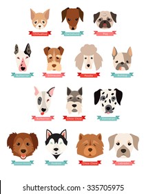 Dog breeds collection with ribbon and name, vector flat illustrations. Popular dogs breeds, card, dogs passport, game graphics.