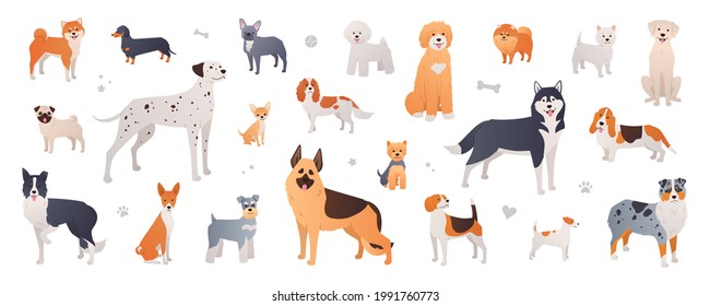 Dog breeds collection. Set of purebred dogs in cartoon flat style on white background. Illustration of Shiba inu, Dalmatian, Pug, Pomeranian, Beagle and more pets in vector