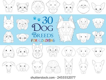 Dog Breeds Collection Volume 1: Set of 30 different dog breeds for coloring in cartoon style.