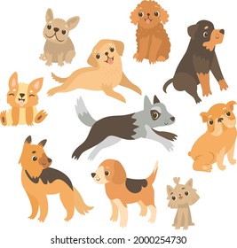 Dog breeds. Cute animals. Best friend. Golden retriever, german shepherd, french bulldog, corgi, husky