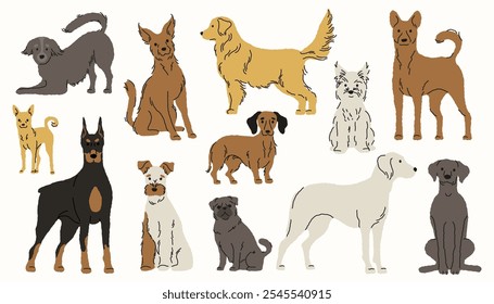 Dog breeds. Cute cartoon puppies, funny flat canines different breeds and colors, adorable pet companionship concept. Vector isolated set.